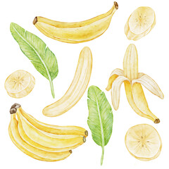A vibrant set of watercolor banana illustrations including whole bananas, peeled banana, banana slices, and tropical banana leaves. Perfect for food design,  packaging, or tropical branding