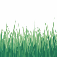 
Lush Green Grass & Bush Collection