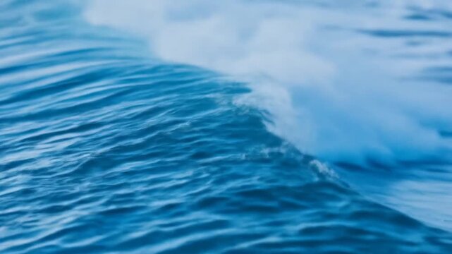 Dynamic Blue Ocean Wave Formation Showing Rolling Water Surface and Turbulent White Splash