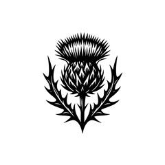 Black Silhouette of a Thistle Flower.
