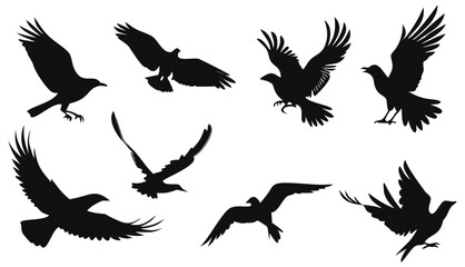 Obraz premium Silhouette birds flying vector illustration featuring eagles hawks and other birds in flight black and white art 100 on transparent background