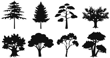 Fototapeta premium Illustration of tree silhouette collection forest trees nature plant botanical garden park woodland foliage on transparent background