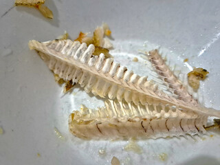 Close-Up of Fish Bones on a White Plate After Meal Consumption