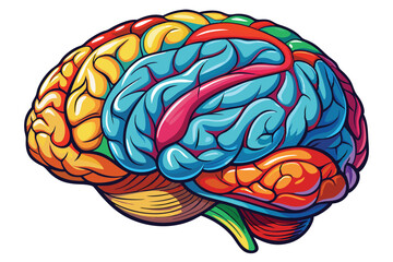 Colorful Human Brain Illustration Exploring the Intricate Beauty of Neural Networks and Cognitive Functionality in a Vibrant Artistic Style