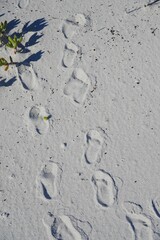 Baby footprints in sand on beach in Western Australia