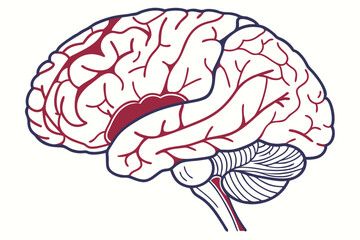 Colorful Human Brain Illustration Exploring the Intricate Beauty of Neural Networks and Cognitive Functionality in a Vibrant Artistic Style