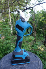 Pruning trees with electric pruning shears branch cutter automatic with battery to easyprune branches of trees. Gardening electric tool equipment.