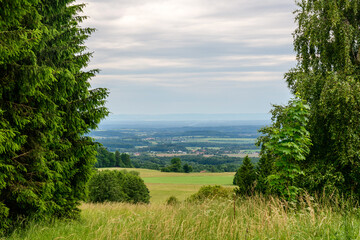 landscape with trees