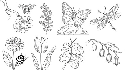Botanical Illustration Featuring Flowers Insects and Foliage in Black and White Outlines Ideal for Coloring Books and Educational Materials