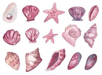 A set of pink shells and stars painted in watercolor on a white background