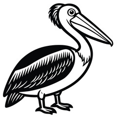 Fototapeta premium pelican vector icon
