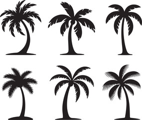 Fototapeta premium Palm Tree Silhouette Vector Set – Tropical Summer Design