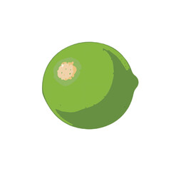 coconut