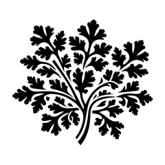 Fototapeta premium Black Silhouette of a Fern Leaf Cluster