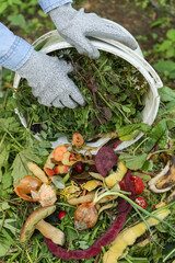 Compost heap pile with bio waste. Farmer with vegetables and fruits food scraps in bucket for compost close up. Zero waste, composting concept
