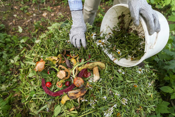 Composting, separate waste collection concept. Zero waste, compost. Compost heap pile with bio waste. Farmer hands put weeds grass plants, vegetable fruit scraps from bucket in compost close up
