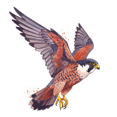 Obraz premium Dynamic Watercolor Falcon Flying Illustration Wild Bird of Prey in Mid-Air Design Element