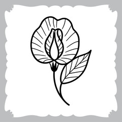 Fototapeta premium Detailed Black and White Line Art of a Flower