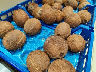 A cluster of rugged coconuts in a blue crate symbolizes resilience and hidden treasures, their tough exterior guarding sweet potential, a metaphor for strength and inner value, captured in a bustling 