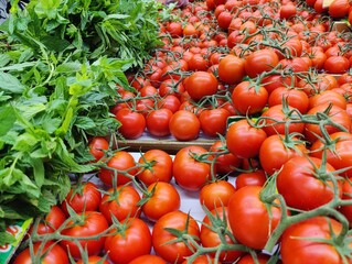 A vibrant sea of ripe tomatoes symbolizes abundance and opportunity, stacked high in a market with a sign reading "Please ask the staff for help," inviting connection amidst nature's bounty,