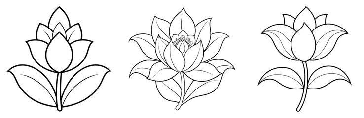 Pasque Flower Coloring Pages – Floral, Nature, Outline, Kids, Printable, Elegant

