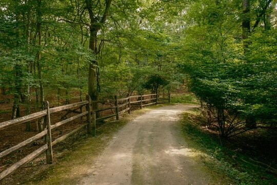 A trail at Hoyt Farm Nature Preserve, Commack, Long Island, New York