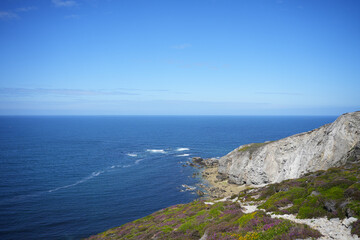 A stunning coastal landscape in Brittany, France, featuring white cliffs, a vast blue sea, and vibrant purple heather.