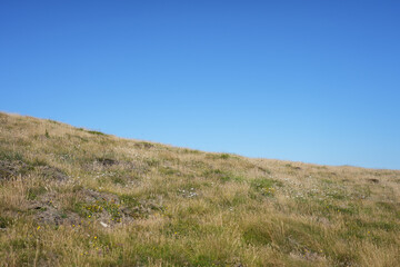 A gentle, grassy slope with dry summer vegetation under a vast blue sky on a coastal hill in...