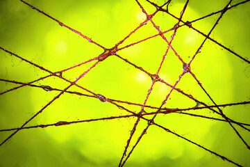 Wet Threads. Colored abstraction of wet threads with water drops