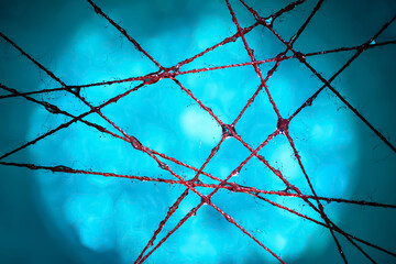 Wet Threads. Abstraction of wet threads with drops of water