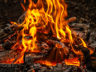 Close-up of a glowing campfire with burning wood and vivid flames, creating a warm and rustic...