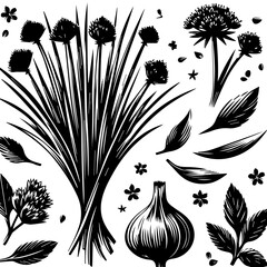 Black and White Silhouette of Fresh Herbs and Garlic.