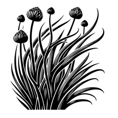 Black and White Stylized Onion Flower Heads.
