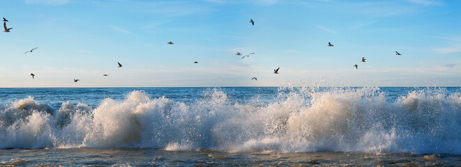 Flock of seagulls flying over the foamy sea waves, blue sky background
