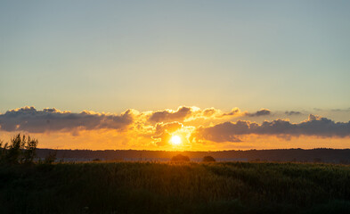 The sun is setting over a field of grass