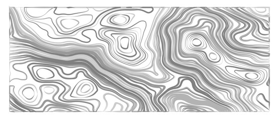Fototapeta premium Modern design with White background with topographic wavy pattern design. Abstract contours form digital landscape, mimicking terrain of technological advancements and innovation.