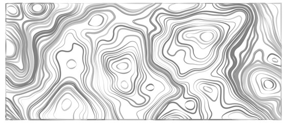 Fototapeta premium Modern design with White background with topographic wavy pattern design. Abstract contours form digital landscape, mimicking terrain of technological advancements and innovation.