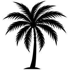 silhouette of palm tree on white background 