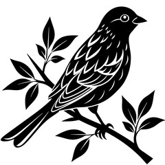 vector illustration of a bird on white background 