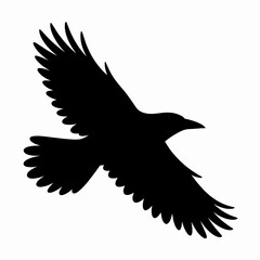Obraz premium Black Bird Silhouette in Flight Design