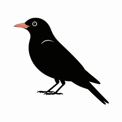 Obraz premium Black Bird Illustration on White Background