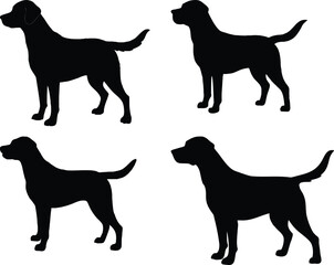 Labrador Retriever Silhouette Vector