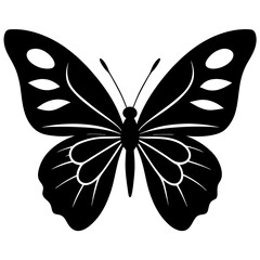 butterfly vector illustration butterfly on white background 