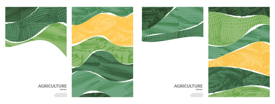 Vineyard collage vector layout with flat eco background, rural abstract pattern, grape tea design, nature field, farmland art, green scenery, patchwork terrace, flyer wallpaper, countryside story