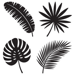Obraz premium A collection of tropical leaves showcases the beauty of nature and exotic botanical designs