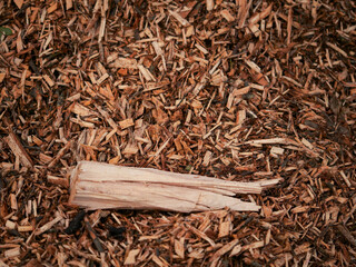 A pile of wood chips is on the ground. The pile is brown and has a lot of wood chips, wood cutting and park maintenance and care concept.