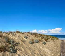 Strand von Lacanau-Océan