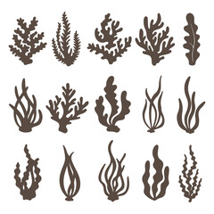 Silhouette Seaweed and Algae Assortment Undersea Flora Collection Marine Plants Variety Ocean and Aquatic Life Botanical Elements © icon ocean