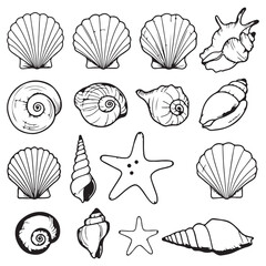 Elegant Seashell Collection A Variety of Mollusks and Echinoderms in Black and White Line Art, perfect for Coastal Decor