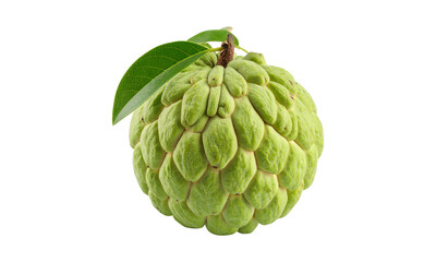 Custard apple fruit with green leaves isolated on transparent background